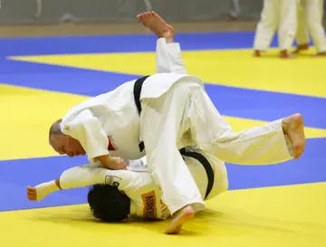 vladimir putin, russia, ukraine, judo, judoka, international judo federation