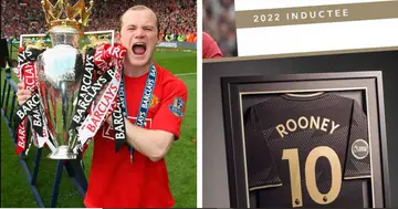 Manchester United, Wayne Rooney, English Premier League, hall of fame
