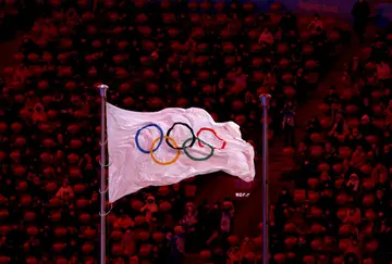 What are the main features of the Olympic flag?