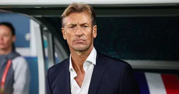 Ivory Coast made a history-making move when they tried to get Herve Renard on loan.