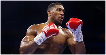 Anthony Joshua, Deontay Wilder, Boxing