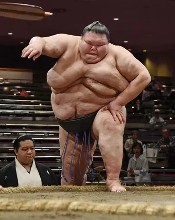 How big is the biggest sumo wrestler?