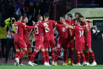 Serbia World Cup squad