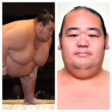 Kainowaka is one of the biggest sumo wrestlers ever