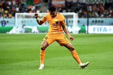 PSV Eindhoven star Cody Gakpo has two goals in two games at the World Cup for the Netherlands