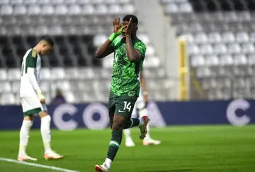 Kelechi Iheanacho, Nigeria, Super Eagles, Jose Peseiro