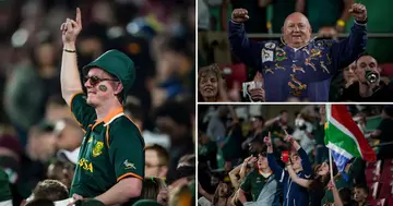 Springbok supporters.