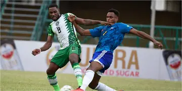 Rohr speaks on Ighalo's performance for Super Eagles against Cape Verde after fans' backlash
