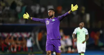Francis Uzoho, AFCON, Nigeria, Super Eagles, Ivory Coast