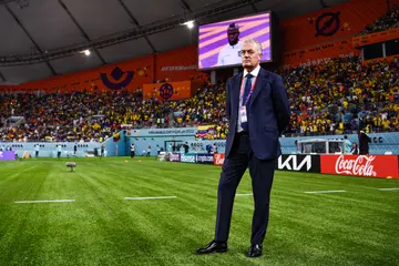 Coach Gustavo Alfaro of Ecuador looks on prior to the Group A - FIFA World Cup Qatar 2022 match