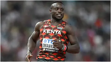 Ferdinand Omanyala, Kenya, Noah Lyles, Athletics kenya, 2024 Paris Olympics