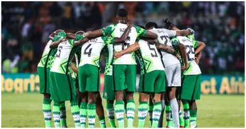 Nigeria, Super Eagles, Nigeria Football Federation, Amaju Pinnick, Jose Poseiro
