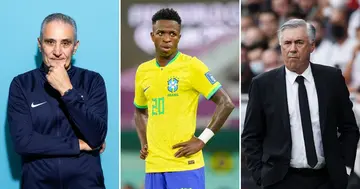 World Cup 2022, Carlo Ancelotti, Advises, Brazil, Tite, Vinicius Jr, Sport, World, Soccer, Real Madrid, La Liga