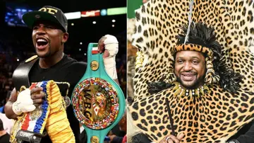 floyd mayweather, jacob mnisi, boxing south africa, j4joy promotions, king misuzulu zwelithini