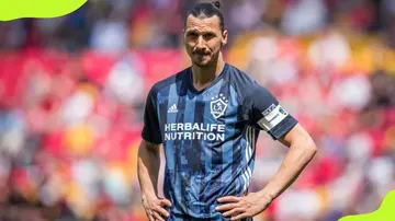 Ibrahimovic during an MLS match against New York Red Bulls