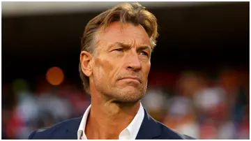 Herve Renard has been linked with the Super Eagles' vacant coaching job a few days after Finidi George reportedly resigned. Photo: Fran Santiago.