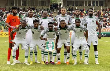 Nigeria, Super Eagles, AFCON, Africa Cup of Nations, Jose Peseiro