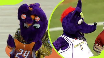What kind of animal is Scorch, Mercury mascot?