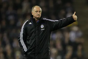 Luiz Felipe Scolari during a Chelsea game