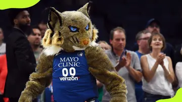 Best WNBA mascots