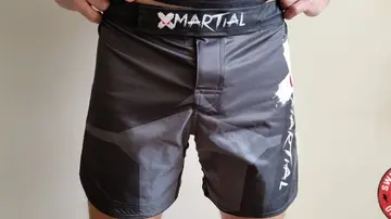 best MMA shorts brands