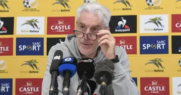 Hugo Broos, Displeased, Bafana Bafana, Performance, Morocco, Despite, Disappointing Late Goal, AFCON, Ivory Coast, Lyle Foster, Yusuf Maart