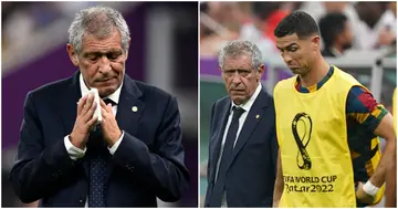 Fernando Santos, Portugal, World Cup 2022, Qatar