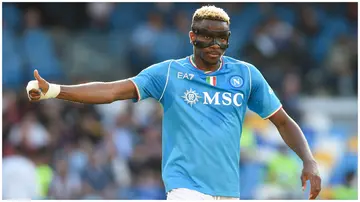 Napoli striker, Victor Osimhen, in action against Bologna in the Serie A at the Stadio Diego Armando Maradona, Naples, Italy, on May 11. Photo: Franco Romano.