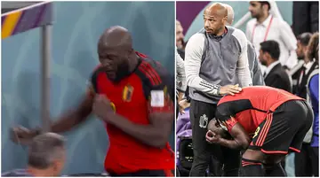 Romelu Lukaku, Roberto Martinez, Belgium, World Cup, exit, elimination, smash, dugout