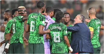 Nigeria, Super Eagles, Jose Peseiro, NFF, CAF, AFCON, Coach