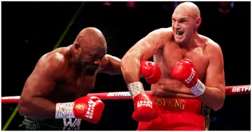 Tyson Fury, Derek Chisora, WBC heavyweight, Boxing