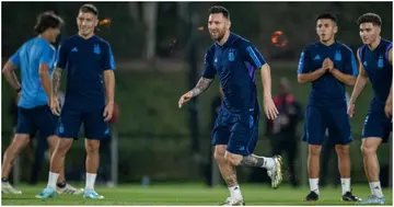 Lionel Messi, Zlatan Ibrahimovic, Argentina, World Cup, AC Milan