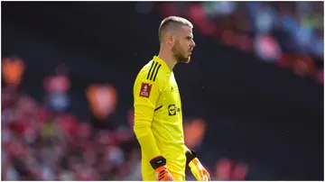 David De Gea, Manchester United, Wembley Stadium, FA Cup final.