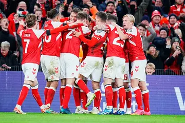 Denmark celebrate their winning goal against Slovenia