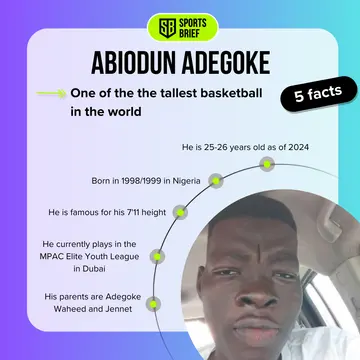 Top facts about Abiodun Adegoke