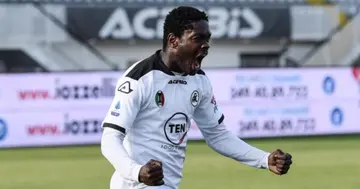 Emmanuel Gyasi, Ghana, Spezia, Serie A, Black Stars, Venezia