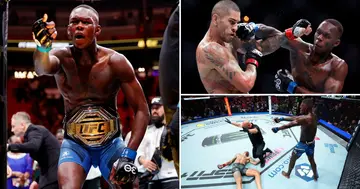 Israel Adesanya, The Last Stylebender, Trends, Knocking Out, Alex Pereira, UFC 287, Sport, World, MMA, Main Event, Francis Ngannou
