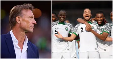 Herve Renard, Nigeria, World Cup, Super Eagles