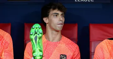 Portuguese, Youngster, João Félix, Frustrated, Limited Playing Time, Atletico Madrid, World, Sport, Soccer, Club Brugge, UEFA Champions League