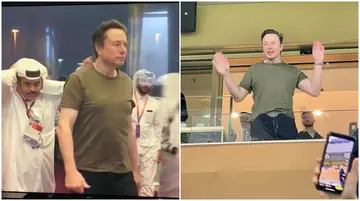 Elon Musk, Argentina, France, World's richest man, Twitter, Lusail Iconic Stadium
