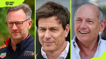 Christian Horner, Toto Wolff, and McLaren's Ron Dennis