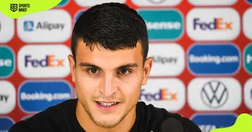 Mohamed Elyounoussi's stats