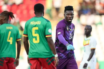 Andre Onana, Cameroon, Indomitable Lions, AFCON 2023