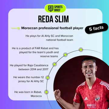 Biography facts about Reda Slim
