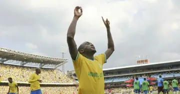 Peter Shalulile celebrates scoring. 