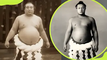 best sumo wrestlers ever 