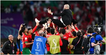 Walid Regragui, Morocco, World Cup