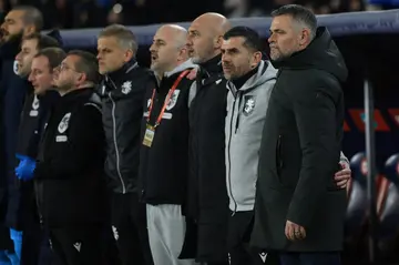 Almost there: Willy Sagnol has taken Georgia to the brink of a major tournament debut