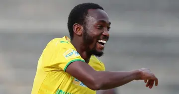 Scintillating, Peter Shalulile, Mamelodi Sundowns, Victory, Swallows, Secure Title, Sport, Soccer