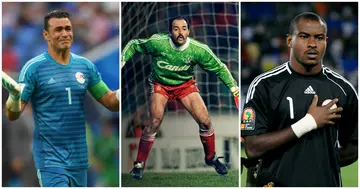 Here are the seven greatest goalkeepers Africa has ever produced.  Essam El-Hadary, Vincent Enyeama, Thomas N'kono, Joseph-Antoine Bell, Bruce Grobbelaar, Ezzaki Badou, Carlos Kameni  